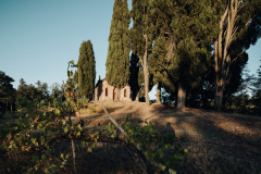 villa-3-scaled