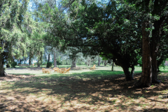 villa-098