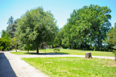 villa-151