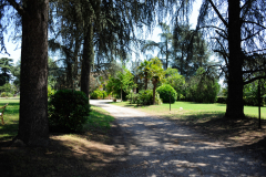 villa-167